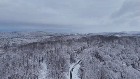 Snowy Forest Path Leading Into the Distance – Winter Drone Flyover Video stock 322059366