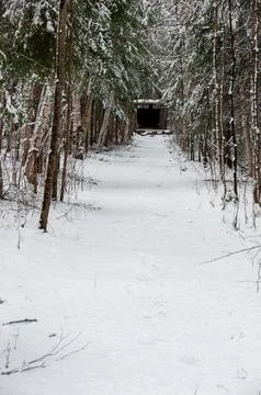 A snowy forest path leading to a structure in the distance Foto stock