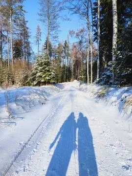 Snowy Forest Path With Long Shadows Stock Photos