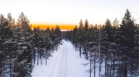 Snowy forest path at sunset with pine trees and orange sky Foto stock