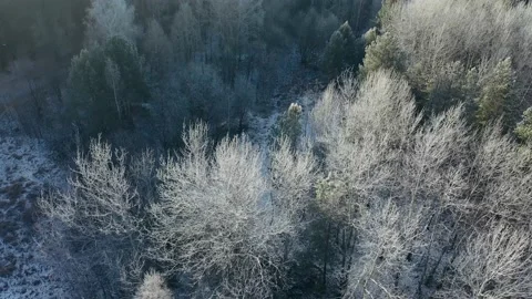 Snowy forest with paths and a road. Stock Footage 143775442