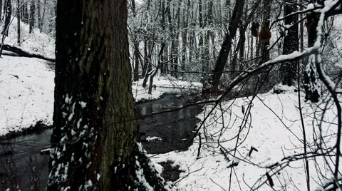 Snowy forest with river and trees with blanket of snow 動画素材 61544006