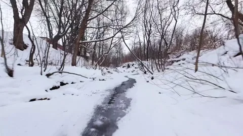 Snowy forest river during cold winter day 스톡 동영상 323338884