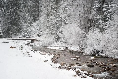 Snowy Forest with a River Stock Photos