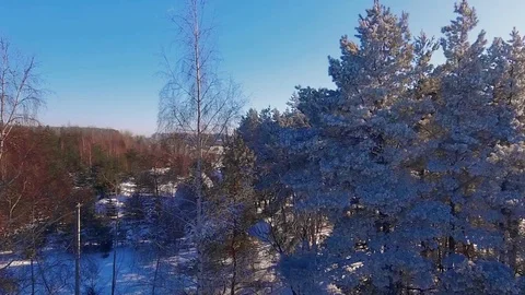 Snowy forest by the road Stock Footage 87248363