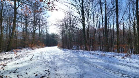 Snowy Forest Road in Winter Video stock 330055972