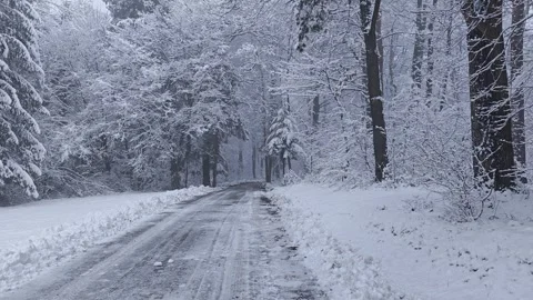 Snowy Forest Road in Winter, Quiet Cold Morning Stock Footage 325594789