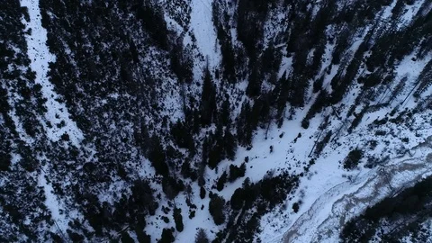 Snowy forest shows the immense panorama of the dolomites Stock Footage 126763758
