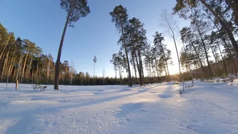 Snowy forest. Time lapse. 스톡 동영상 143155689