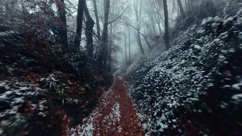 A Snowy Forest Trail Fpv Drone Flight Stock Footage 299293558