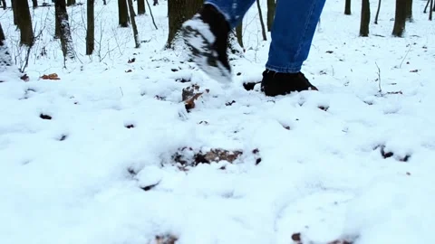 Snowy forest with a tree in the middle Stock Footage 304430979