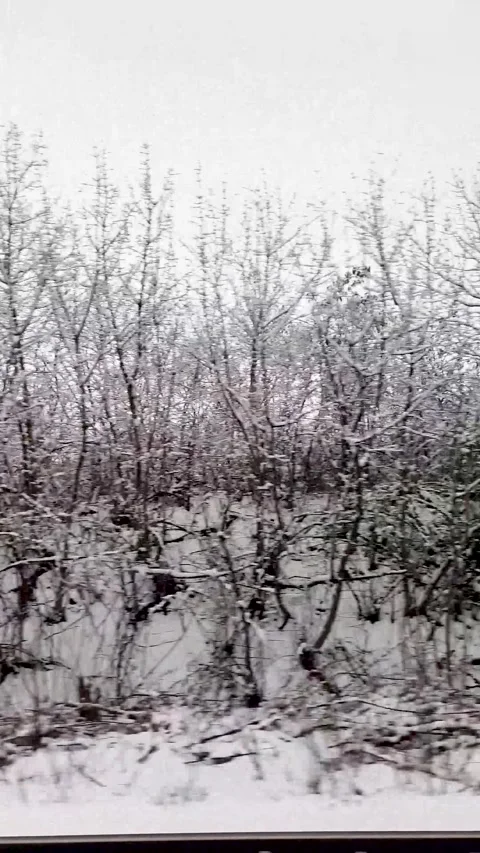 Snowy Forest View from a Moving Train during winter 스톡 동영상 334915960