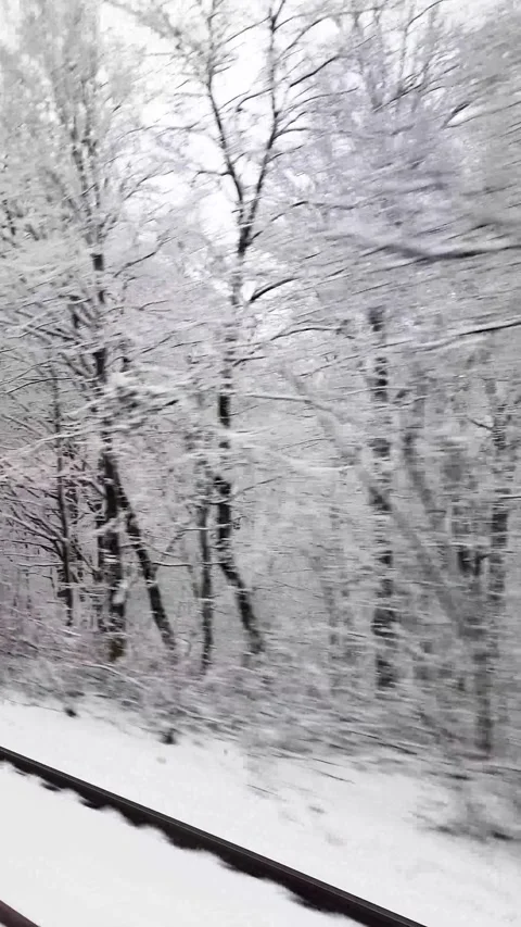 Snowy Forest View from a Moving Train 스톡 동영상 334915966