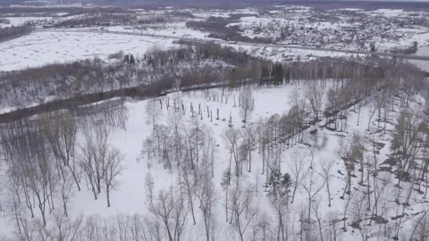 Snowy Forest View, Overhead Perspective Capturing Snowcovered Trees And Subdued Stock Footage 325984249