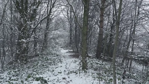 Snowy Forest Walk 2 4K Stock Footage 84576891
