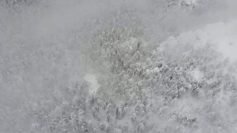 Snowy forest in winter with icy rocks. Drone moves through the clouds Stock Footage 122425773