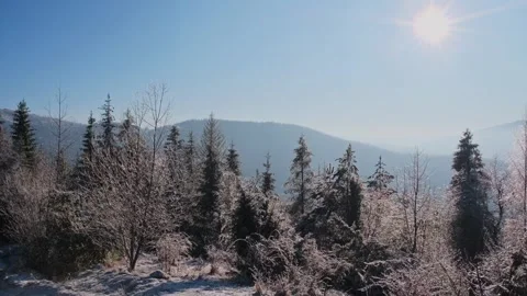 Snowy forest in winter mountains Stock Footage 257074308