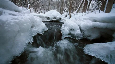 Snowy forrest 動画素材 7749701