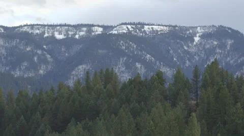 Snowy Forrest wide shot Stock Footage 24753358