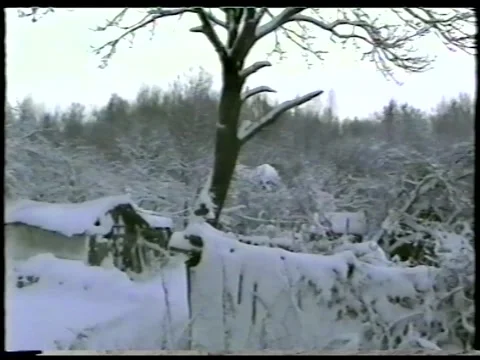 Snowy Garden Stock Footage 343697145