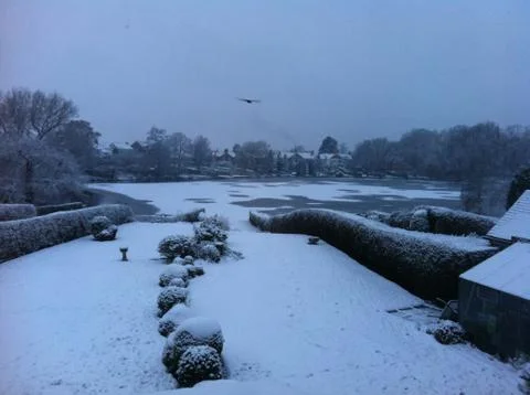 Snowy Garden 库存照片