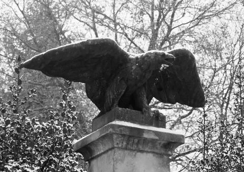 Snowy German Eagle with spread wings Stock Photos