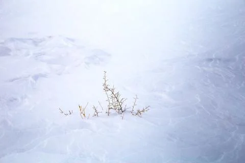 Snowy ground, backround Stock Photos