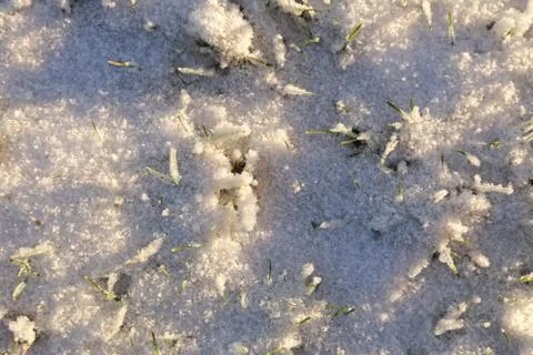 Snowy ground Fotos Stock