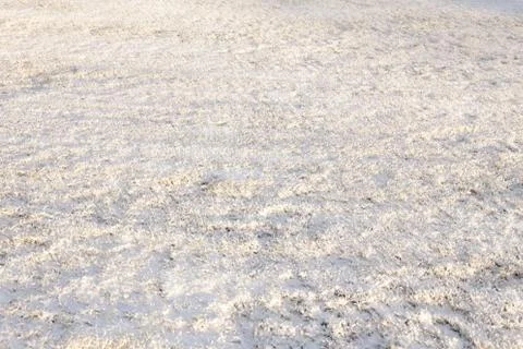 Snowy ground Stock Photos