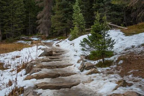 Snowy hiking trail Stock Photos