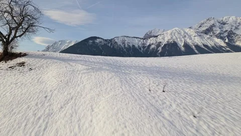 Snowy hill and lone tree revealing alpine mountains in Tyrol Видео 345996909
