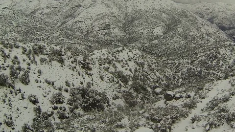 Snowy hill foilage Stock Footage 77051545