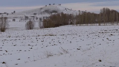 A snowy hill, Stock Footage 100985647