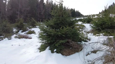 Snowy hill Video stock 272589556