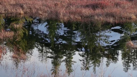 Snowy Hill Reflection in Water 스톡 동영상 79589349