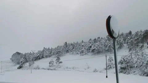 A snowy hillside with trees covered in snow Stock Footage 275820897