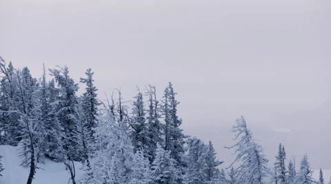 Snowy Hilltop 스톡 동영상 61021612