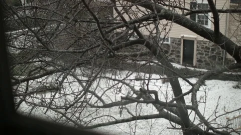 Snowy House Backyard Window View 動画素材 72717782