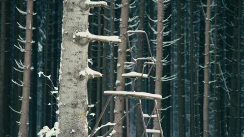 Snowy Hunting Stand Structure Inside a Quiet Coniferous Winter Forest Stock Footage 331168155