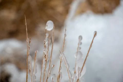 Snowy ice Stock Photos