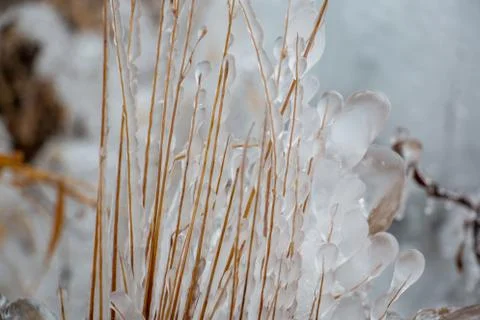 Snowy ice Stock Photos