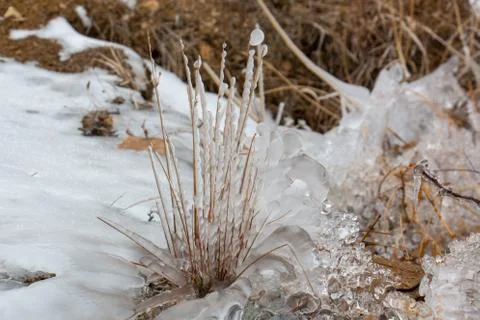 Snowy ice Stock Photos
