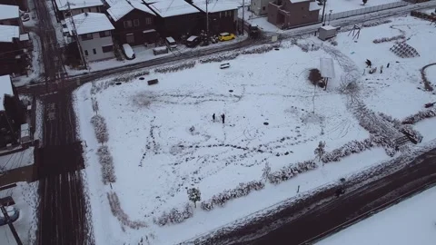 Snowy Japanese park 库存影片 246474553