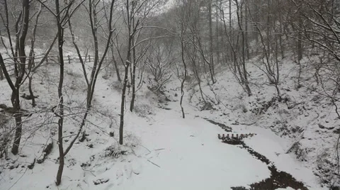 Snowy Korean Mountains 2 Stock Footage 35479101
