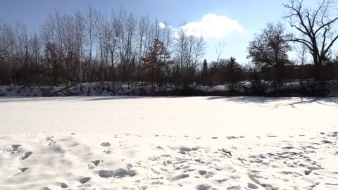 Snowy Lake Video stock 124675026