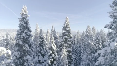 Snowy Lake Tahoe Winter Drone 4K Aerial Stock Footage 124232353
