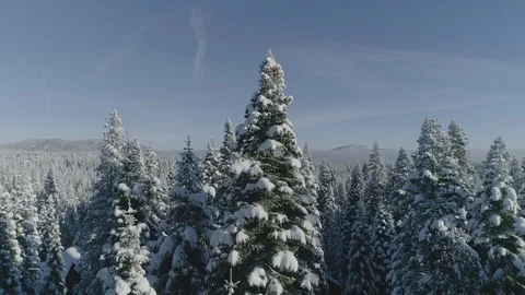 Snowy Lake Tahoe Winter Drone 4K Aerial Stock Footage 124232453