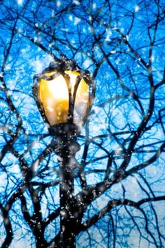 Snowy lamp post Stock Photos