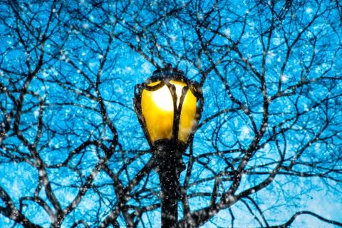 Snowy lamp post Stock Photos