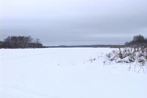 Snowy Landscape 1 Vídeo Stock 265357